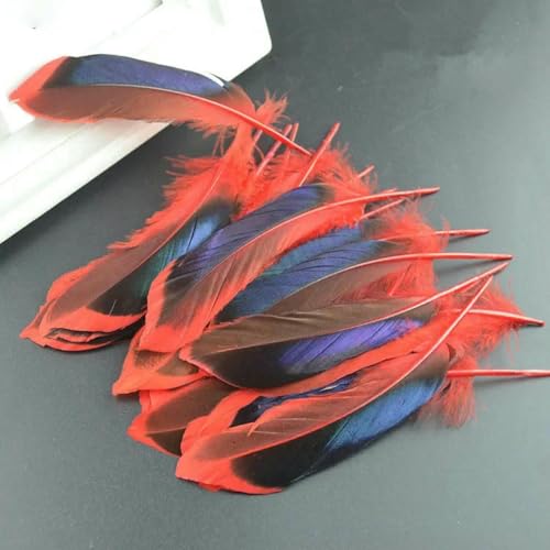 Fasanenfedern im Großhandel zum Basteln, 10–15 cm, 10–15 cm, natürliche Hühnerfedern zur Schmuckherstellung, Hochzeitshahnfedern, Federbusch, Rot, 20 Stück Fasanenfedern im Großhandel zum Basteln, 10–15 cm, 10–15 cm, natürliche Hühnerfedern zur Schmuckherstellung, Hochzeitshahnfedern, Federbusch, Rot, 20 Stück von ZFISH