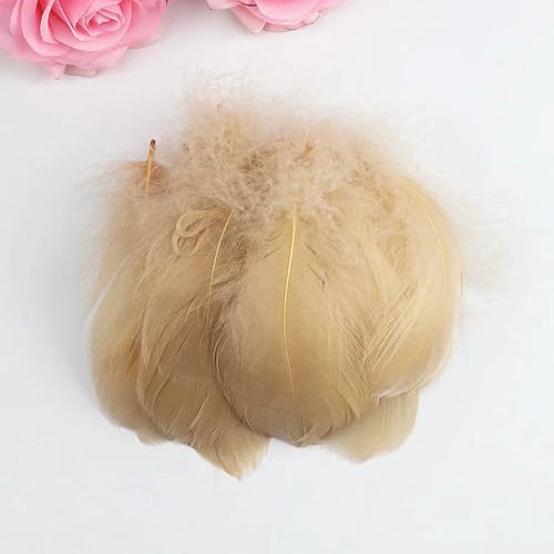 Gänsefedern, 100–500 Stück, natürliche Farbfedern, Gänsefedern, 7–12 cm, Federn zum Basteln, für Hochzeiten, Partys, DIY, Bastelarbeiten, Fängerfedern, Khaki, 5–8 cm Gänsefedern, 100–500 Stück, natürliche Farbfedern, Gänsefedern, 7–12 cm, Federn zum Basteln, für Hochzeiten, Partys, DIY, Bastelarbeiten, Fängerfedern, Khaki, 5–8 cm von ZFISH