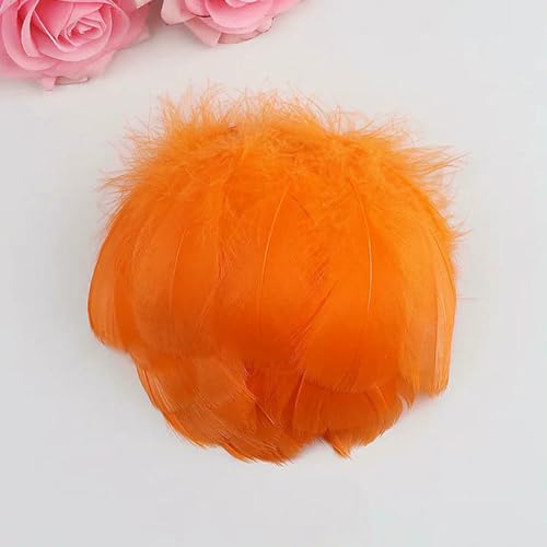Gänsefedern, 100–500 Stück, natürliche Farbfedern, Gänsefedern, 7–12 cm, Federn zum Basteln, für Hochzeiten, Partys, DIY, Bastelarbeiten, Fängerfedern, orange, 5–8 c Gänsefedern, 100–500 Stück, natürliche Farbfedern, Gänsefedern, 7–12 cm, Federn zum Basteln, für Hochzeiten, Partys, DIY, Bastelarbeiten, Fängerfedern, orange, 5–8 c von ZFISH