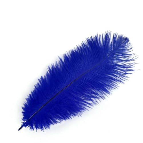 Natürliche Straußenfedern, 35–40 cm, mehrfarbig, Bulkware, DIY, Karnevalskostüme, Bohemian-Hochzeitshaarschmuck, Premium, Königsblau, 50 Stück Natürliche Straußenfedern, 35–40 cm, mehrfarbig, Bulkware, DIY, Karnevalskostüme, Bohemian-Hochzeitshaarschmuck, Premium, Königsblau, 50 Stück von ZFISH