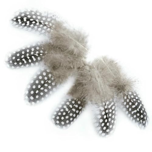 Weiche, natürliche Perlhuhn-Federn zum Basteln, 5–10 cm, Hühnerfedern, schöne Federn zum Basteln, Schmuck, Ohrringe, Dekoration, natur, 300 Stück Weiche, natürliche Perlhuhn-Federn zum Basteln, 5–10 cm, Hühnerfedern, schöne Federn zum Basteln, Schmuck, Ohrringe, Dekoration, natur, 300 Stück von ZFISH