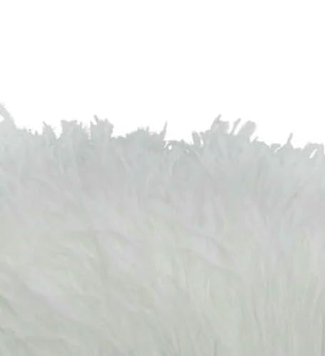 Wunderschöner 1 Meter schwarzer Straußenfederbesatz, Stoffseitenband, Straußenfederbesatz, Kleidung, Hochzeit, Federband, Nähdekoration, weiß, 10–15 cm Wunderschöner 1 Meter schwarzer Straußenfederbesatz, Stoffseitenband, Straußenfederbesatz, Kleidung, Hochzeit, Federband, Nähdekoration, weiß, 10–15 cm von ZFISH