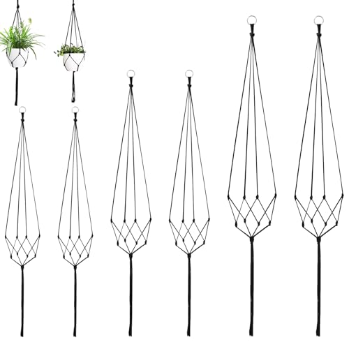 ZFRITP 6 Stück Blumenampel Hängend Innen,Makramee Blumenampel,Baumwollseil Hängeampel Blumentopf Robust Makramee Pflanzenhalter Blumenampe Für Innen Außen Decken Balkone Wanddekoration ZFRITP 6 Stück Blumenampel Hängend Innen,Makramee Blumenampel,Baumwollseil Hängeampel Blumentopf Robust Makramee Pflanzenhalter Blumenampe Für Innen Außen Decken Balkone Wanddekoration von ZFRITP