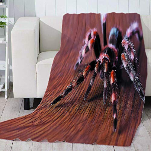 ZFSZSD Kuscheldecke Horror & Spinne Decke als Sofadecke Weiche Warme Couch Decken Sofa Decken Flauschige Wohndecke Schlafdecke 59x78.7 inch von ZFSZSD