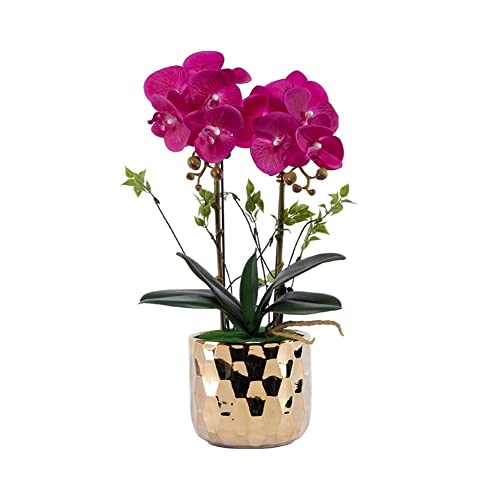 ZGBQHQN Faux Blumen Orchidee falsche Blumen in goldplattierter Keramikvase, Kunstpflanzen Bonsai Seidenblumen für Home Office Balkon Dekor für jeden Anlass, c (c) von ZGBQHQN