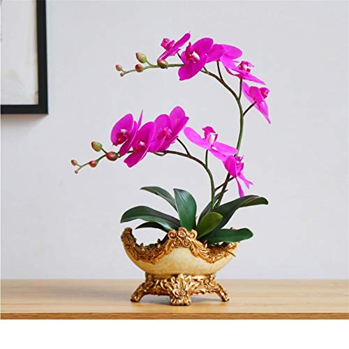 ZGBQHQN Künstliche Blume im Topf Künstliche Orchidee mit Vase künstliche Blumen Seidentuch Phalaenopsis falsche Blume in Vase -Mittelstücken für Esszimmertisch, Wohnzimmerkunstpflanze ZGBQHQN Künstliche Blume im Topf Künstliche Orchidee mit Vase künstliche Blumen Seidentuch Phalaenopsis falsche Blume in Vase -Mittelstücken für Esszimmertisch, Wohnzimmerkunstpflanze von ZGBQHQN
