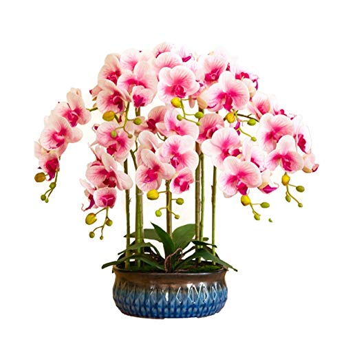 ZGBQHQN Künstliche Blume in Topf Künstliche Blüten mit Vase Orchidee Phalaenopsis falsche Blume in Vase -Mittelstücken für Esszimmertisch, Wohnzimmer rosa künstliche Pflanzenblume Arrangeme ZGBQHQN Künstliche Blume in Topf Künstliche Blüten mit Vase Orchidee Phalaenopsis falsche Blume in Vase -Mittelstücken für Esszimmertisch, Wohnzimmer rosa künstliche Pflanzenblume Arrangeme von ZGBQHQN