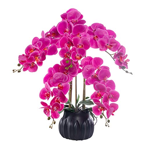 ZGBQHQN Künstliche Blume in Topf Künstliche Blüten mit Vase Phalaenopsis lila Orchidee falsche Blume in Vase -Mittelstücken für Esszimmertisch, Wohnzimmer Dekor Künstliche Pflanzenblume a ZGBQHQN Künstliche Blume in Topf Künstliche Blüten mit Vase Phalaenopsis lila Orchidee falsche Blume in Vase -Mittelstücken für Esszimmertisch, Wohnzimmer Dekor Künstliche Pflanzenblume a von ZGBQHQN