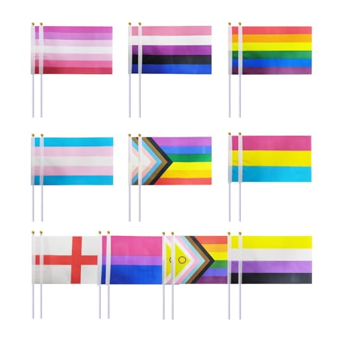20 Stück Handgekurbelte Regenbogenfahnen, Stolze Flaggen, Inklusive Und Progressive Handgekurbelte Flaggen, Bunte Regenbogenfahnen, Partydekorationen von ZGDEIWGF