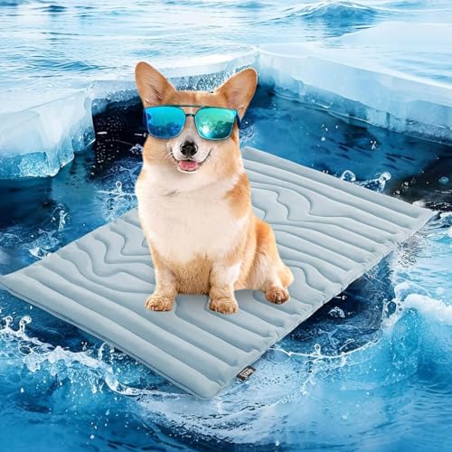 Cooling Mat Dog,cooling mat for Summer,Self-Coolings Mats for Pets,Ice Pad,Abrasion and Bite Resistant(Blue,20 * 16in) von ZGWRYI