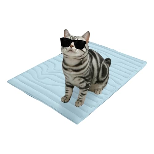 Cooling Mat for Dogs,Large Mats Made of Self-Coolings Ice Silk,Dog cooling Blanket,for Home On the Go or in the Car(Blue,20 * 16in) von ZGWRYI