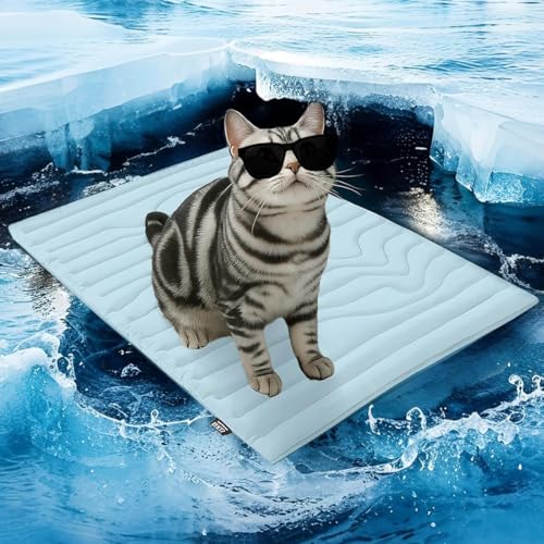 Dog Cooling Mat,Self-Cooling Dog Bed,Large Cooling Dogs,Dog Cooling Mat,Cooling Pad for dogs Cats(Blue,20 * 16in) von ZGWRYI
