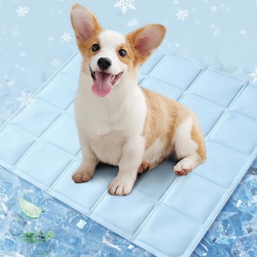 Kühlmatte for Hunde und Katzen tragbar wendbar Kühlkissen mit kaltem Gel selbstkühlende Pads Kühlmattenbetten for Haustiere waschbare Kühlmatten for drinnen und draußen(Blue,40x40cm) von ZGWRYI
