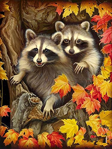 ZGmaxCL 5D Diamanten Gemälde Set Diamond Painting Zubehör Puzzles Erwachsene Kinder Full Groß Waschbär und Ahornblatt Aesthetic Room Wanddekoration 60x40cm von ZGmaxCL