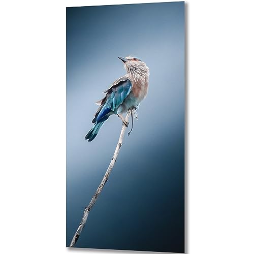 ZGmaxCL 5D Diamanten Gemälde Set Puzzles DIY Diamant Malerei Kit Erwachsene Groß Vogel und Baum Modern Wohnung Wanddekoration 80x40cm ZGmaxCL 5D Diamanten Gemälde Set Puzzles DIY Diamant Malerei Kit Erwachsene Groß Vogel und Baum Modern Wohnung Wanddekoration 80x40cm von ZGmaxCL