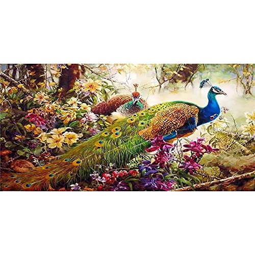 ZGmaxCL DIY 5D Diamond Painting Set Puzzles Stickerei Strass Diamant Malerei Erwachsene Groß Pfau und Blumen Aesthetic Room Wanddekoration 100x50cm ZGmaxCL DIY 5D Diamond Painting Set Puzzles Stickerei Strass Diamant Malerei Erwachsene Groß Pfau und Blumen Aesthetic Room Wanddekoration 100x50cm von ZGmaxCL