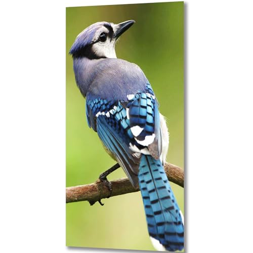 ZGmaxCL DIY 5D Diamond Painting Set Puzzles Stickerei Strass Diamant Malerei Erwachsene Groß Vogel und Baum Wohnzimmer Wanddekor 80x40cm ZGmaxCL DIY 5D Diamond Painting Set Puzzles Stickerei Strass Diamant Malerei Erwachsene Groß Vogel und Baum Wohnzimmer Wanddekor 80x40cm von ZGmaxCL