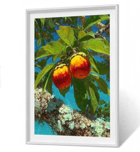 Diamond Painting Kinder Obst 5D Diamond Painting Pflanze Bilder DIY Full drill Crystal Strass Stickerei Mosaic Diamant Malerei Bastelset Geeignet Geschenk und Wanddeko 50 x 70 cm ZBSF404 Diamond Painting Kinder Obst 5D Diamond Painting Pflanze Bilder DIY Full drill Crystal Strass Stickerei Mosaic Diamant Malerei Bastelset Geeignet Geschenk und Wanddeko 50 x 70 cm ZBSF404 von ZHANGBINGSHENDIAN