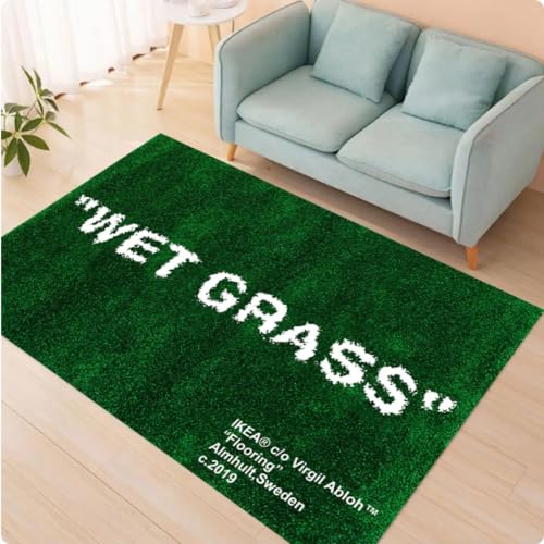 ZHANGCHENG Gras-Nass-Gras-Teppich, Grasmuster-Teppich Für Wohnzimmer, Personalisierter Bunter Teppich, Geschenk 100X160CM von ZHANGCHENG