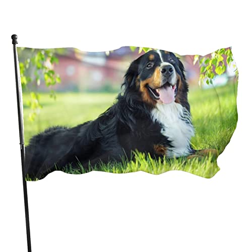 Flagge 150x90cm, Outdoor Windward Fahne, Lebendiges Farbbanner Gartenflagge Berner Sennenhund Dekorative Flagge, Hochwertige Polyester Yard Fahne, Saisonales, Lustige Große Flagge, Outdoor-Dekoration von ZHANGHENG