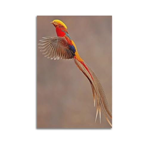 Goldener Fasan, fliegender Wandkunst, Natur-Dekor, Wohnzimmer-Poster, künstlerisches Wandbild, modernes hängendes Dekor-Poster, 50 x 75 cm von ZHANGJIENAN