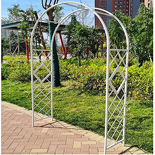 Gartenbogen Rankgitter Metall Hochzeitsbogen für Kletterpflanzen Rosenbogen für Hochzeiten Stahl Spalier Unterstützung für Reben Langlebig Metall Display Hintergrund Gartenbogen Rankgitter Metall Hochzeitsbogen für Kletterpflanzen Rosenbogen für Hochzeiten Stahl Spalier Unterstützung für Reben Langlebig Metall Display Hintergrund von ZHANGshouf