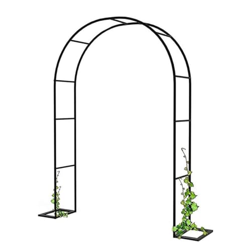 Gartenrosenbogen Pergola Metallrahmen Rankgitter für Kletterpflanzen breit 120–240 cm Laube dekorativer Ständer für Reben und Blumen Größe: B 350 x H 220 cm von ZHANGshouf