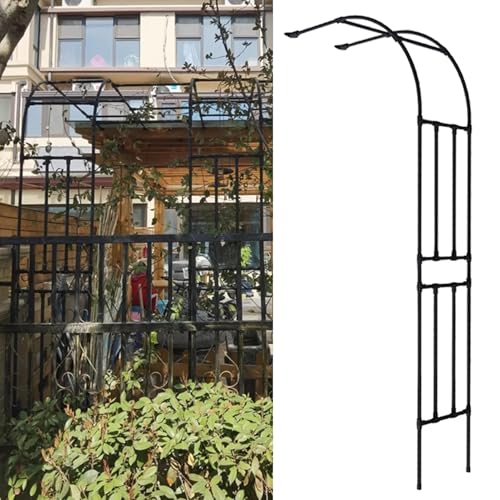 Rankgitter für den Garten, halbe Seitenbogen, 2,5 m, Kletterpflanzen-Stützgestell für Outdoor-Hochzeiten, Blumendekoration, Ballonständer, Partylaube, Pergola, Metallrahmen für Garten und Terrasse Rankgitter für den Garten, halbe Seitenbogen, 2,5 m, Kletterpflanzen-Stützgestell für Outdoor-Hochzeiten, Blumendekoration, Ballonständer, Partylaube, Pergola, Metallrahmen für Garten und Terrasse von ZHANGshouf