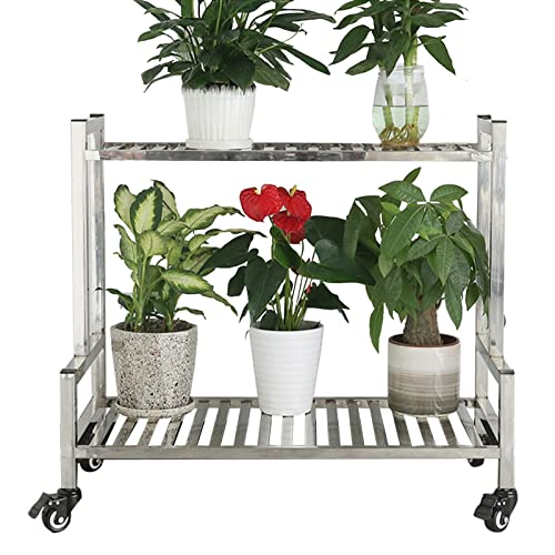 ZHANGshouf 2-stöckiger Pflanzenständer aus Edelstahl – Blumentopf-Ausstellungsregal für den Innen- und Außenbereich – für Zuhause, Terrasse, Rasen, Garten, Balkon – 60 x 40 x 70 cm ZHANGshouf 2-stöckiger Pflanzenständer aus Edelstahl – Blumentopf-Ausstellungsregal für den Innen- und Außenbereich – für Zuhause, Terrasse, Rasen, Garten, Balkon – 60 x 40 x 70 cm von ZHANGshouf