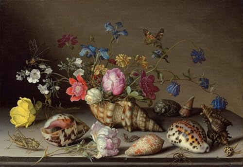 ZHAOSHAN Berühmte Gemälde Moderne Kunst Wandbild Poster Kunstdrucke Blumen Muscheln und Insekten auf einem Steinvorsprung von Balthasar Van Der Ast für Office Home Decor 60x90cm ZHAOSHAN Berühmte Gemälde Moderne Kunst Wandbild Poster Kunstdrucke Blumen Muscheln und Insekten auf einem Steinvorsprung von Balthasar Van Der Ast für Office Home Decor 60x90cm von ZHAOSHAN