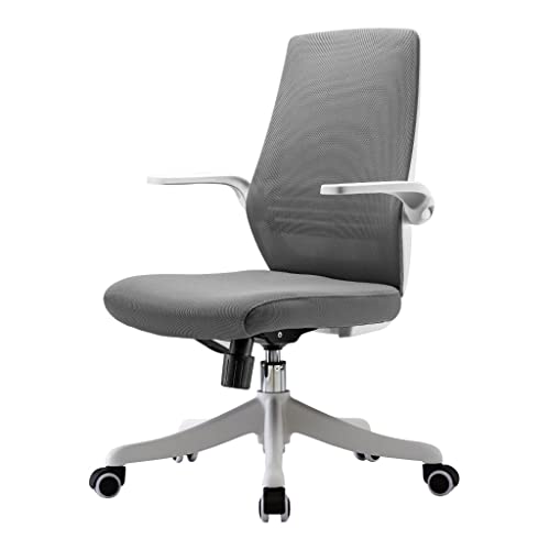 ZHCHAO Ergonomischer Bürostuhl mit mittlerer Rückenlehne, Schreibtischstuhl mit Lendenwirbelstütze, kleiner Netz-Computerstuhl von ZHCHAO