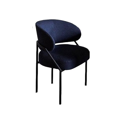ZHCHAO Esszimmerstuhl, bequeme Beine, Esszimmerstühle, Schlafzimmer, Haushaltsartikel, weiche Rückenlehne, Möbel (Argento) von ZHCHAO