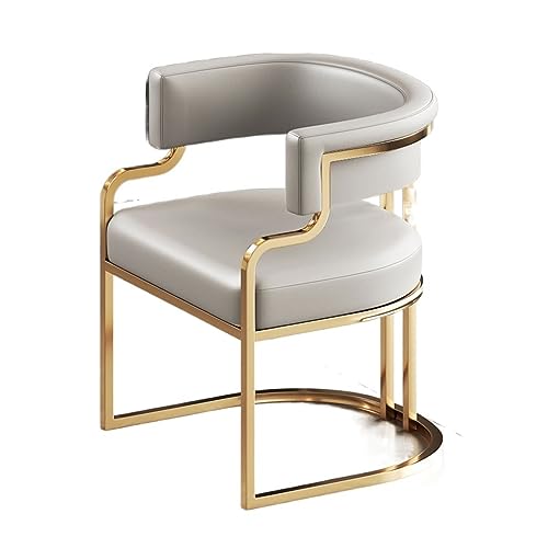 ZHCHAO Home Wohnzimmer Esszimmer Stuhl Designer Wohnzimmer Esszimmer Stühle Schlafzimmer Küche Mesa De Jan Dekoration (Argento) von ZHCHAO