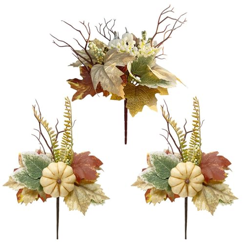 ZHDOKA 3 x Herbstblumen-Spieße, künstliche Ahornblatt-Zweige, Herbst-Kürbis-Beeren, Sprays für Zuhause, Küche, Erntedankfest, Arrangement, Tafelaufsatz, Dekoration ZHDOKA 3 x Herbstblumen-Spieße, künstliche Ahornblatt-Zweige, Herbst-Kürbis-Beeren, Sprays für Zuhause, Küche, Erntedankfest, Arrangement, Tafelaufsatz, Dekoration von ZHDOKA