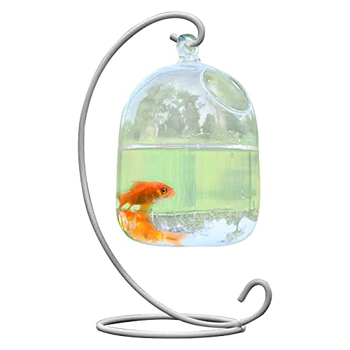 ZHDOKA Hängendes Glas-Aquarium mit Ständer, 22,9 cm kleine, transparente Goldfischschale, Mini-Aquarium-Pflanzenterrarium für Zuhause, Büro, Tischdekoration von ZHDOKA