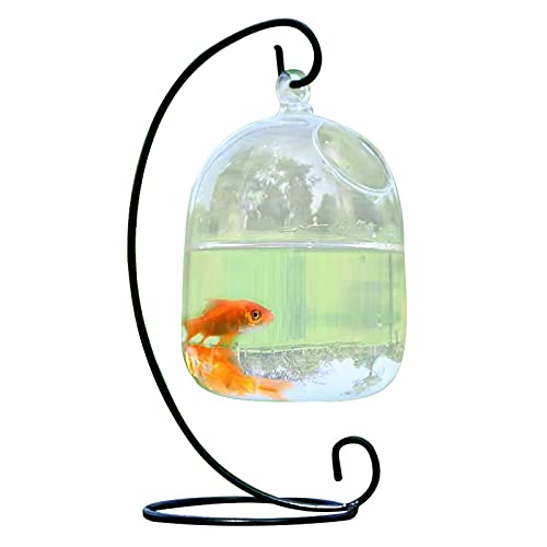 ZHDOKA Hängendes Glas-Aquarium mit Ständer, 22,9 cm kleine, transparente Goldfischschale, Mini-Aquarium-Pflanzenterrarium für Zuhause, Büro, Tischdekoration von ZHDOKA