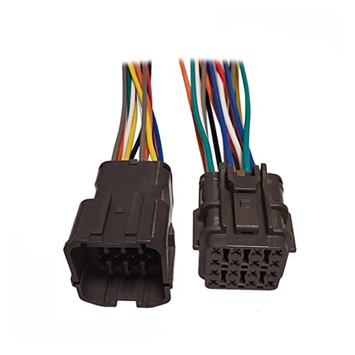 Auto Benzin Xenon Lampenstecker Kabelbaum 1 2 3 4 6 8 12 14 16 Pin Auto wasserdichter elektronischer Stecker Kraftstoffpumpenbaugruppe(16P Wire Harness) von ZHFSWLKW