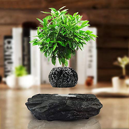 ZHHID PflanztöPfe Anzucht- Levitation Schwebender Blumentopf - Zimmerpflanzen - Kreative Design Levitation Bonsai - Home Office Dekorationen - Fun Geschenk,Black ZHHID PflanztöPfe Anzucht- Levitation Schwebender Blumentopf - Zimmerpflanzen - Kreative Design Levitation Bonsai - Home Office Dekorationen - Fun Geschenk,Black von ZHHID