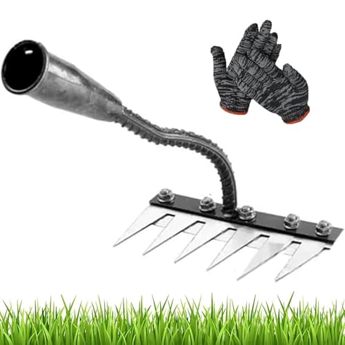 Iron Rake for Gardening and Weeding, Gardenia Iron Weeding Rake 2.0, 5/6/7/8 Teeth Multifunctional Heavy-Duty Carbon Steel Gardening Hand Weeder Tools for Lawn Care (6 Teeth) von ZHKVAG