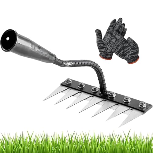 Iron Rake for Gardening and Weeding, Gardenia Iron Weeding Rake 2.0, 5/6/7/8 Teeth Multifunctional Heavy-Duty Carbon Steel Gardening Hand Weeder Tools for Lawn Care (7 Teeth) von ZHKVAG