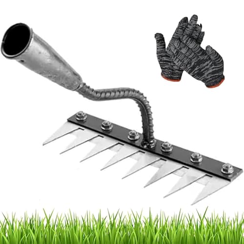 Iron Rake for Gardening and Weeding, Gardenia Iron Weeding Rake 2.0, 5/6/7/8 Teeth Multifunctional Heavy-Duty Carbon Steel Gardening Hand Weeder Tools for Lawn Care (8 Teeth) von ZHKVAG