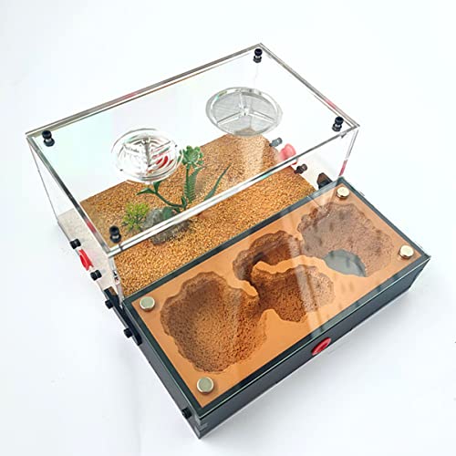 DIY Acryl Ameisenfarm Gips Formicarium Ameisennest Ameisen Haus Villa Insekt Haustier Ameisen Zucht Box Ameisenhaufen Werkstatt Ant Nest Ant Farm (Color : A) von ZHL