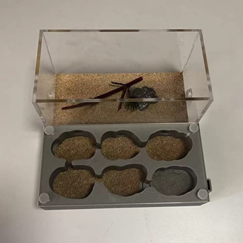 ZHL Acryl AntHouse Ameisennest Insekt Villa Natürliche Ameisenfarm Aus Sand Formicarium Display Box Set (Color : C) von ZHL