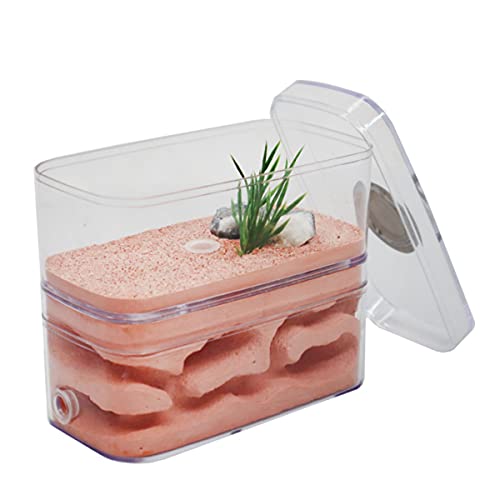 ZHL Gips Ameisenfarm Ameisennest Formicarium Display Box Fütterungshaus Für Ameisen Insekten Züchten Haus Ameisen Farmen Set Villa Ant Nest Geburtstagsgeschenk Geschenk von ZHL