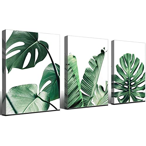 3 Stück   Leinwandbilder Grünes Blatt Monstera Pflanze gerahmt Wandkunst Wohnkultur 20x30cm(8x12in)x3 mit Rahmen von ZHMANLUCK