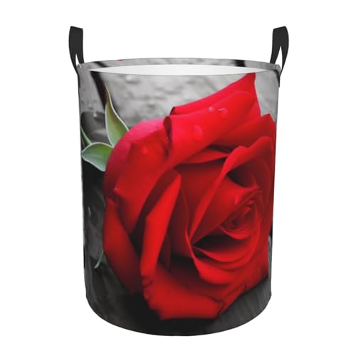 Runder Wäschekorb, rote Rose, faltbar, mit Griffen, wasserabweisend, für Schlafzimmer, Badezimmer, 50 x 40 cm von ZHONGSK
