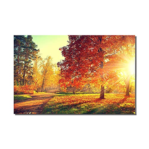 ZHONGYUTONG Sonnenuntergang Landschaft Leinwand Kunstdrucke Herbst Wanddekoration Herbst Wald Sonnenuntergang Szene Bild Poster Malerei (Kein Rahmen, 40x60cm) von ZHONGYUTONG