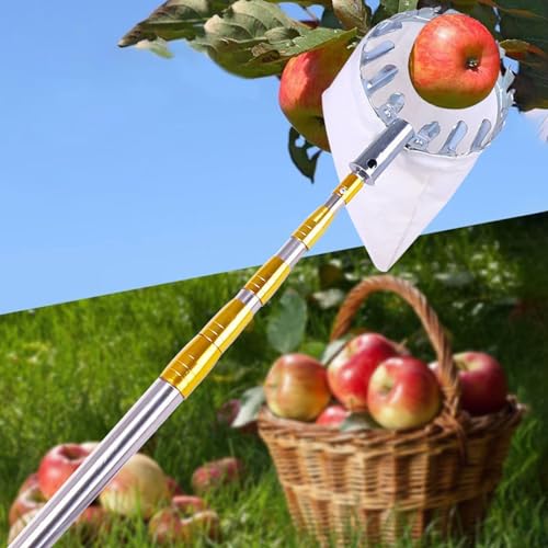 obstpflücker apfelpflücker Obstpflücker Werkzeug Mit Korb Und Stange, 2.5 3 4 5 7 10 M Teleskopische Apfel-Orangen-Zitronen-Avocado-Fangvorrichtung Für Große, Hohe Bäume, Tragbare Obsterntemaschine Au von ZHONNA