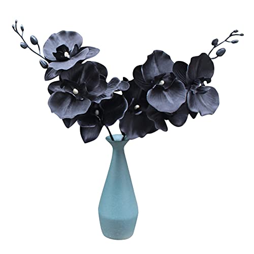 Künstliche Blume, künstliche Blume, Kunstblumen, Stoff, schwarz, Phalaenopsis für Heimdekoration – Schwarz von ZHOUBAA