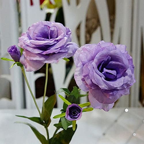 Samen für die Gartenarbeit, 50 Stück Garten, Balkon, Pflanze, Eustoma, Blume, Lisianthus, Samen, Heimpflanze, Ornament – 13 von ZHOUBAA